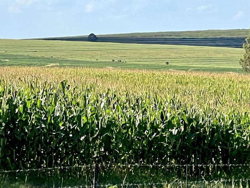 0 Bedroom Property for Sale in Bethlehem Rural Free State